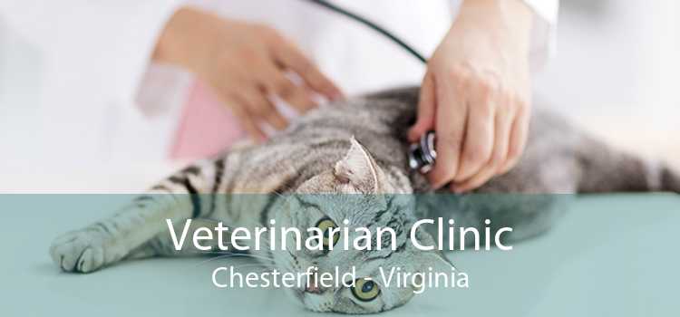 Veterinarian Clinic Chesterfield - Virginia