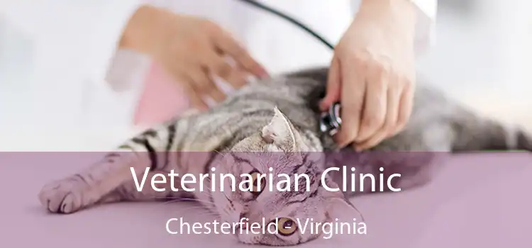 Veterinarian Clinic Chesterfield - Virginia