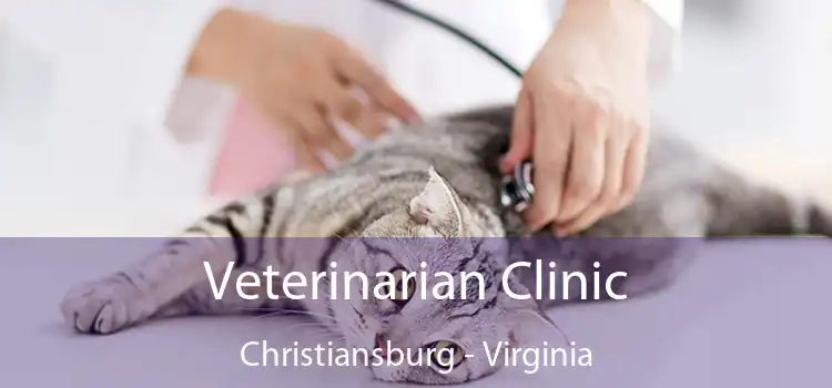 Veterinarian Clinic Christiansburg - Virginia