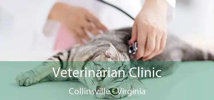 Veterinarian Clinic Collinsville - Virginia