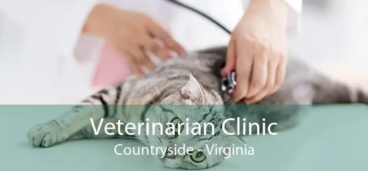 Veterinarian Clinic Countryside - Virginia