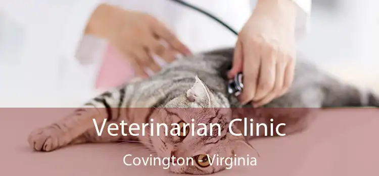 Veterinarian Clinic Covington - Virginia