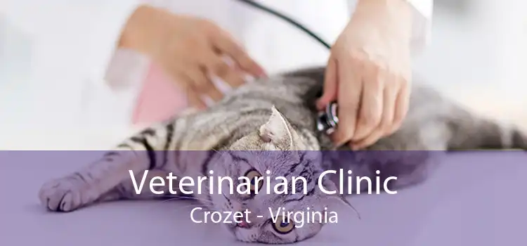 Veterinarian Clinic Crozet - Virginia