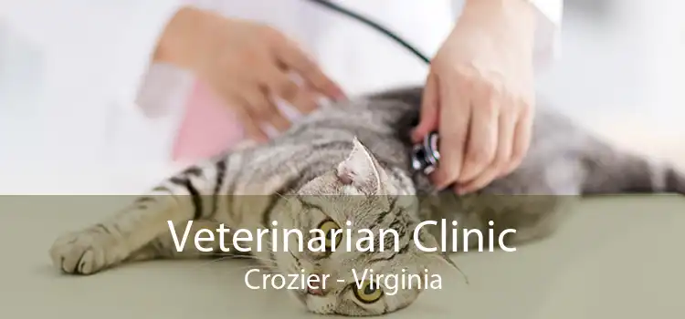 Veterinarian Clinic Crozier - Virginia