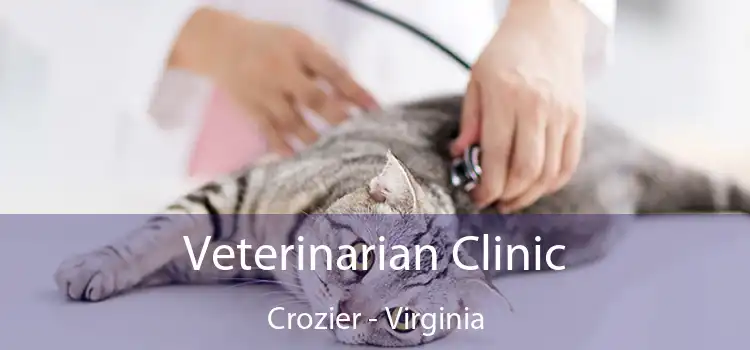 Veterinarian Clinic Crozier - Virginia