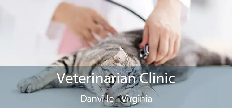 Veterinarian Clinic Danville - Virginia