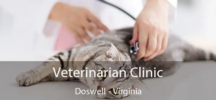 Veterinarian Clinic Doswell - Virginia