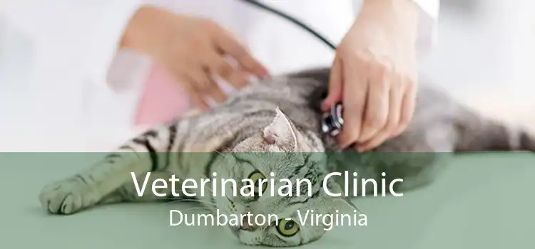 Veterinarian Clinic Dumbarton - Virginia
