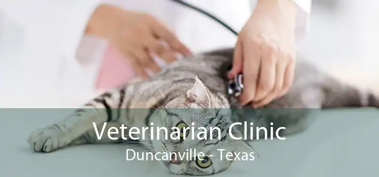Veterinarian Clinic Duncanville - Texas