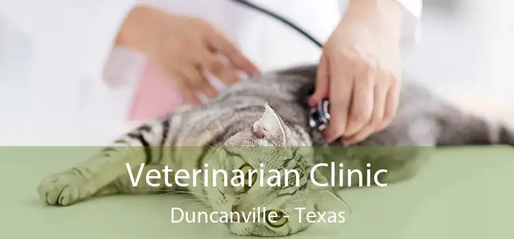 Veterinarian Clinic Duncanville - Texas