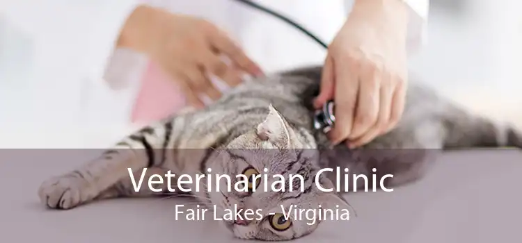 Veterinarian Clinic Fair Lakes - Virginia