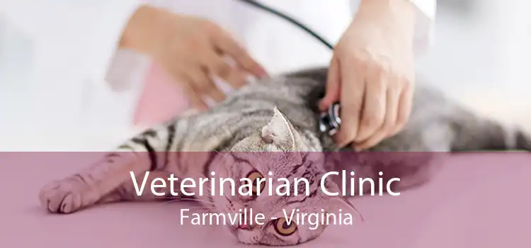 Veterinarian Clinic Farmville - Virginia