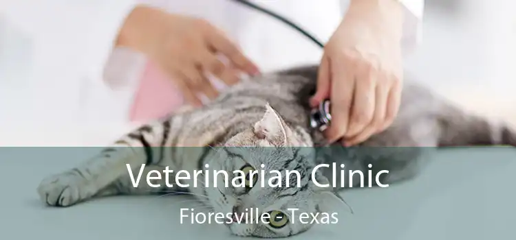 Veterinarian Clinic Fioresville - Texas