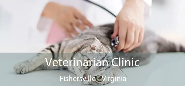 Veterinarian Clinic Fishersville - Virginia