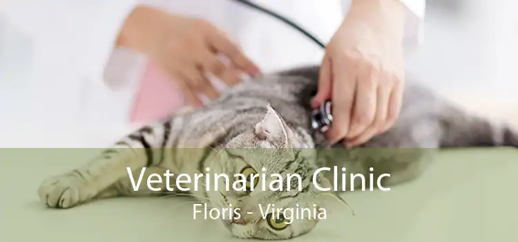 Veterinarian Clinic Floris - Virginia
