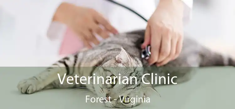 Veterinarian Clinic Forest - Virginia