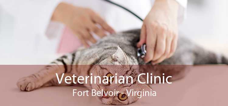 Veterinarian Clinic Fort Belvoir - Virginia