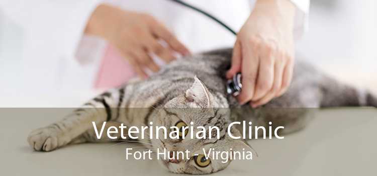 Veterinarian Clinic Fort Hunt - Virginia