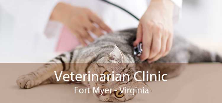 Veterinarian Clinic Fort Myer - Virginia
