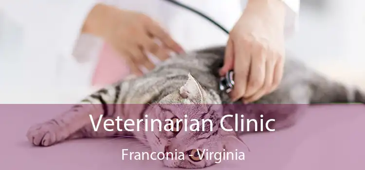 Veterinarian Clinic Franconia - Virginia