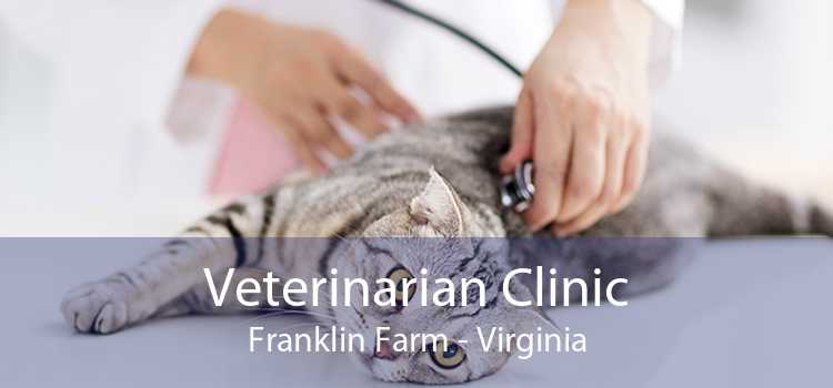 Veterinarian Clinic Franklin Farm - Virginia