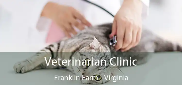 Veterinarian Clinic Franklin Farm - Virginia