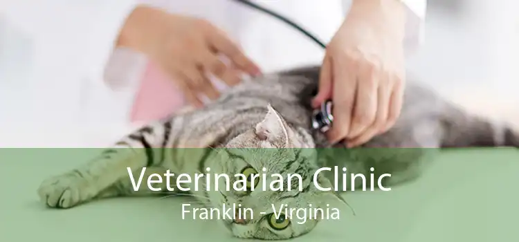 Veterinarian Clinic Franklin - Virginia