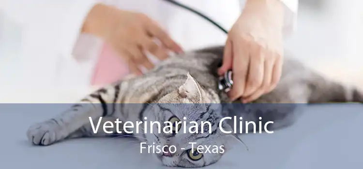 Veterinarian Clinic Frisco - Texas