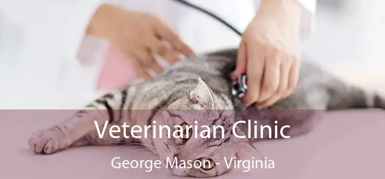 Veterinarian Clinic George Mason - Virginia