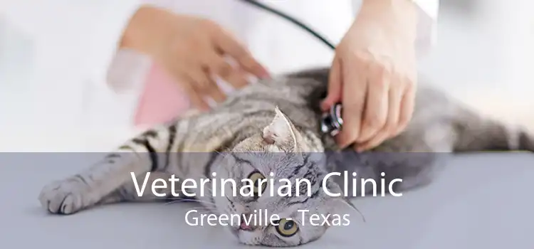 Veterinarian Clinic Greenville - Texas