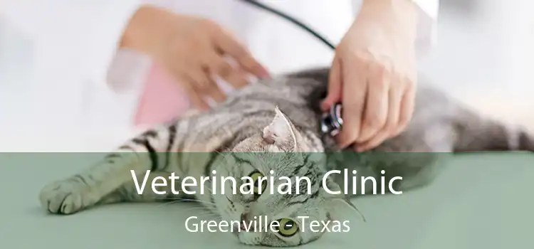 Veterinarian Clinic Greenville - Texas