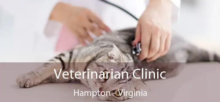 Veterinarian Clinic Hampton - Virginia