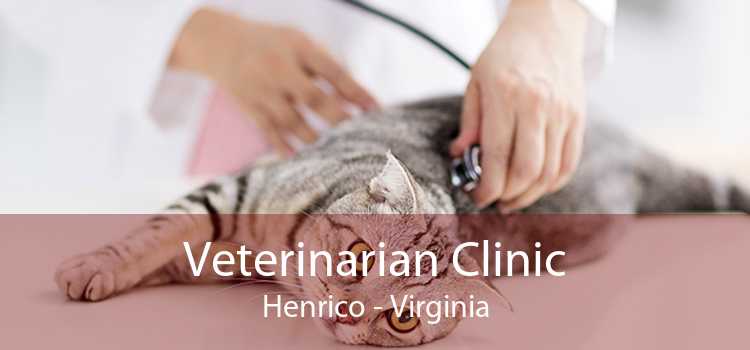 Veterinarian Clinic Henrico - Virginia