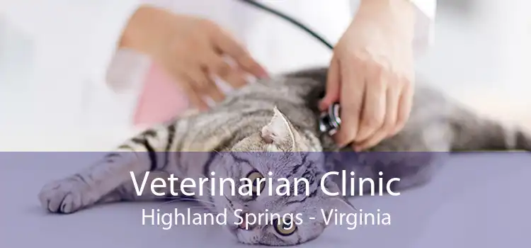 Veterinarian Clinic Highland Springs - Virginia