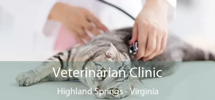 Veterinarian Clinic Highland Springs - Virginia