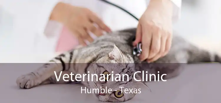 Veterinarian Clinic Humble - Texas