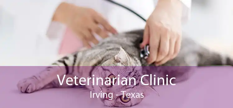 Veterinarian Clinic Irving - Texas