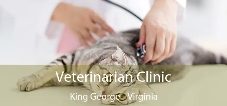 Veterinarian Clinic King George - Virginia