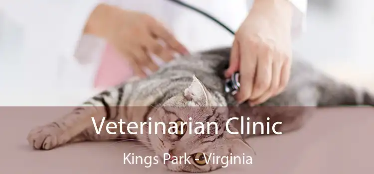 Veterinarian Clinic Kings Park - Virginia