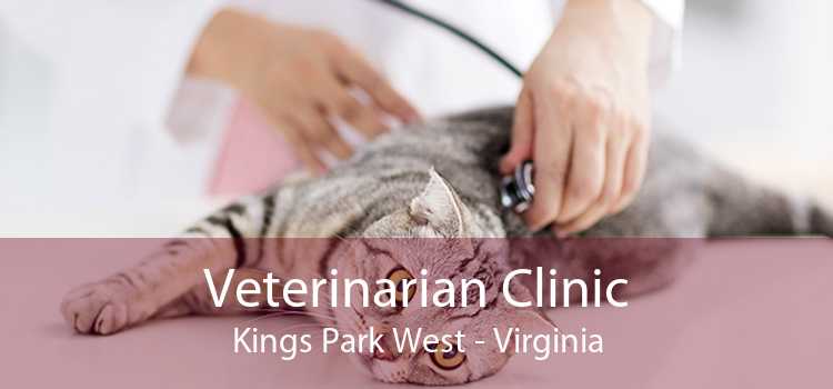 Veterinarian Clinic Kings Park West - Virginia