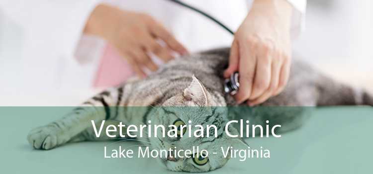 Veterinarian Clinic Lake Monticello - Virginia