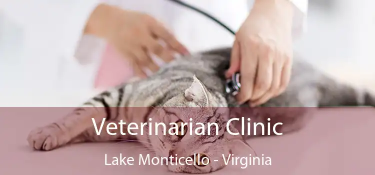 Veterinarian Clinic Lake Monticello - Virginia