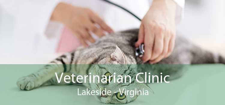 Veterinarian Clinic Lakeside - Virginia