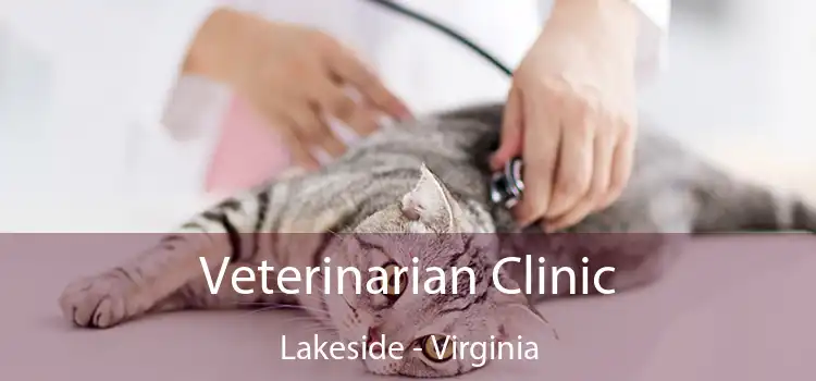 Veterinarian Clinic Lakeside - Virginia