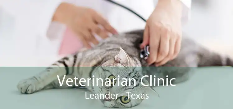 Veterinarian Clinic Leander - Texas