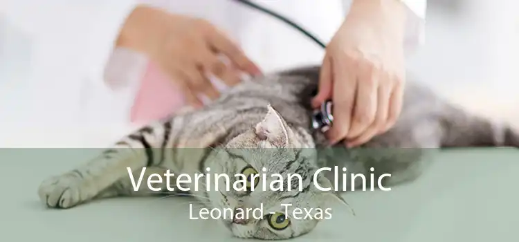 Veterinarian Clinic Leonard - Texas