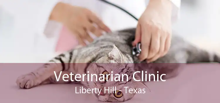 Veterinarian Clinic Liberty Hill - Texas