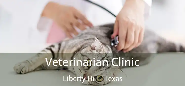Veterinarian Clinic Liberty Hill - Texas