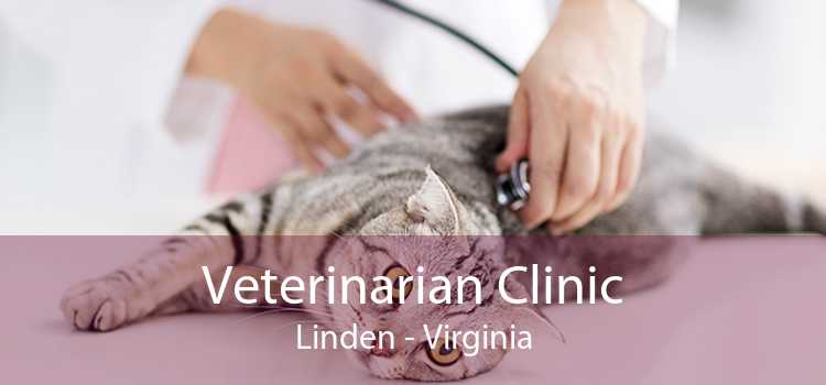 Veterinarian Clinic Linden - Virginia
