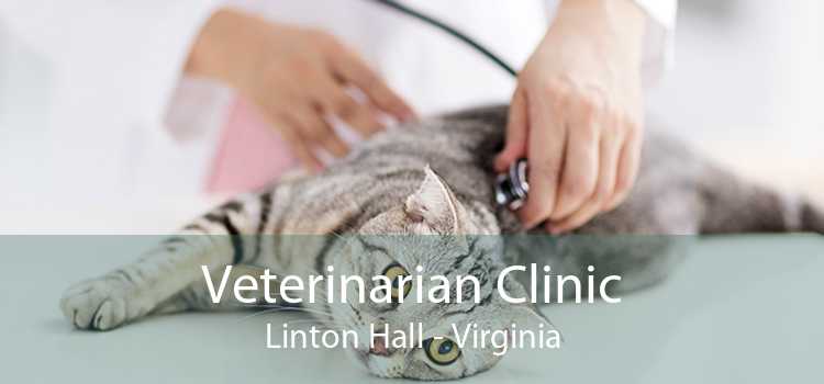 Veterinarian Clinic Linton Hall - Virginia